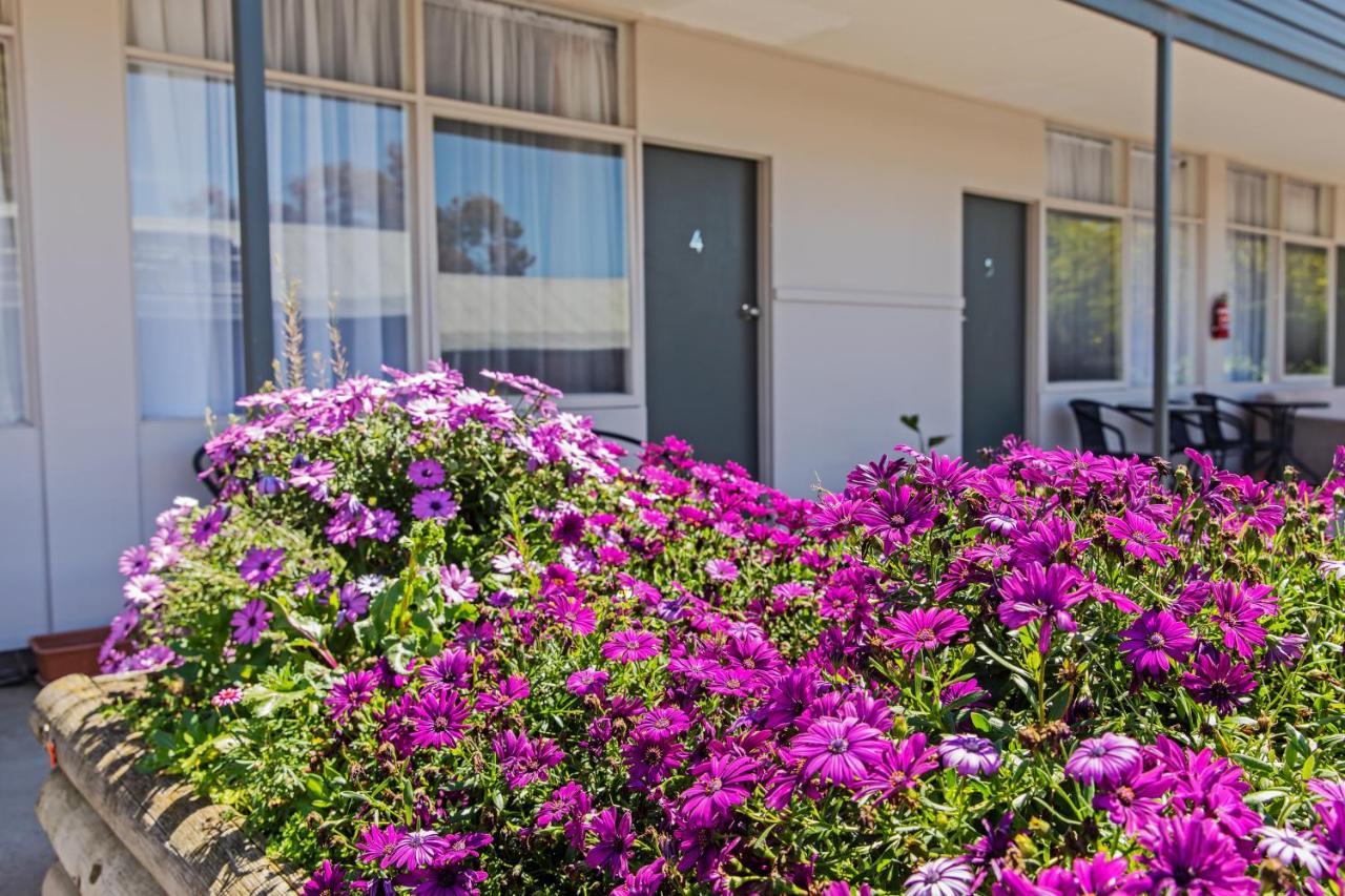 Maffra Motor Inn Dış mekan fotoğraf